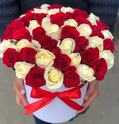Букет из белых и красных роз Дыхание любви, Цветы и подарки в Перми, купить  по цене 3692 RUB, Авторские букеты в Роза Маркет с доставкой | Flowwow