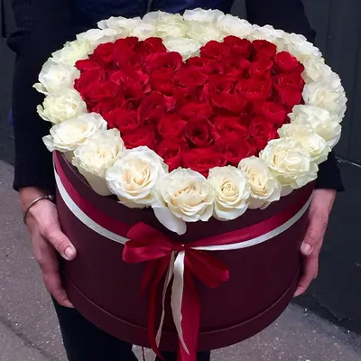 51 длинных красных и белых роз | купить недорого | доставка по Москве и  области