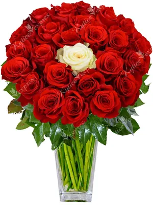 Букет из 35 красных и белых роз с доставкой в Воронеже и области