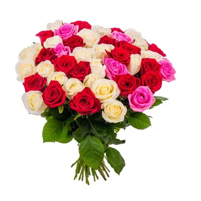 Букет из роз «Букет из 15 красных и белых роз» - купить с доставкой в  Челябинске