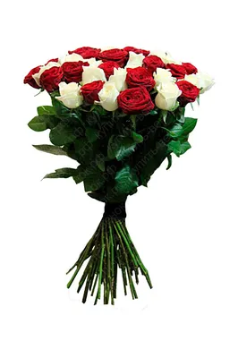 Купить Букет из 5 красных и белых роз (50 см) с доставкой в Омске - магазин  цветов Трава
