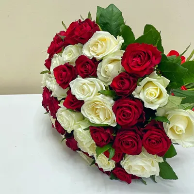 Букет из 51 белых и красных роз кения 35-40 см в упаковке купить в Барнауле  с бесплатной доставкой | Розы недорого оптом розница