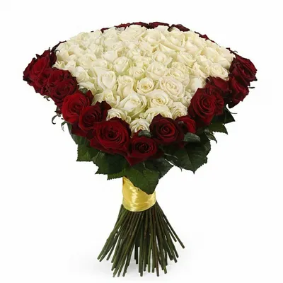 Букет «5 красных роз и 4 белых хризантем» в Елизово: купить букет с  доставкой, заказать на Flosend