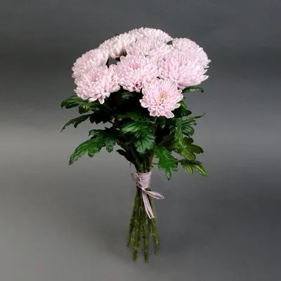 Букет из 15 хризантем №415 - 🌹 Цветы Новосибирск заказ: