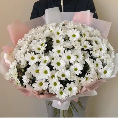 букет хризантем купить с доставкой по Варшаве, цена | bunchov flowers