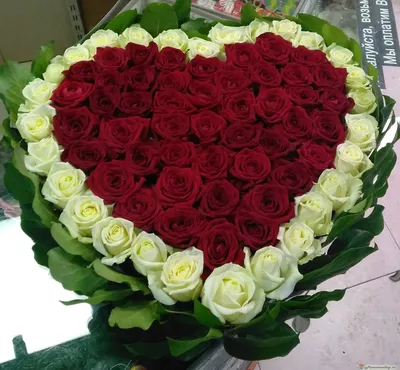 501 Роза Сердце - белые и красные розы | купить недорого | доставка по  Москве и области | Roza4u.ru
