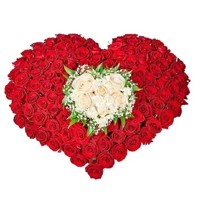 Букет из красных и белых роз в форме сердца в шляпной коробке купить с  доставкой по Минску - Acuba di Flora