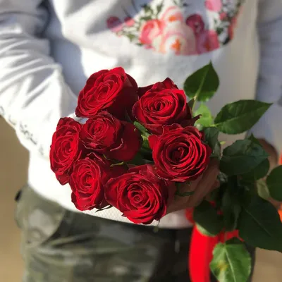 Букет из 7 красных роз в Шымкенте заказать с доставкой 🌷