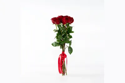 Заказать Букет из 7 роз «Red» в \"MK Flowers\" с доставкой!