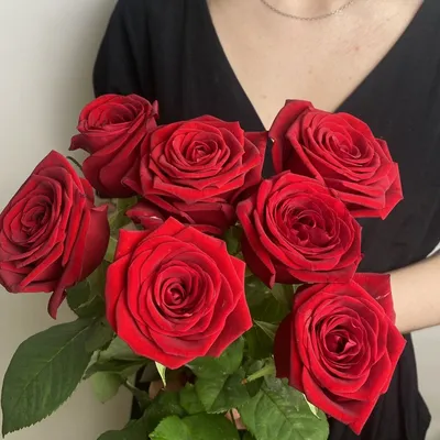 Букет из 7 розовых роз 60 см с зеленью купить в Барнауле с доставкой | Розы  недорого оптом розница