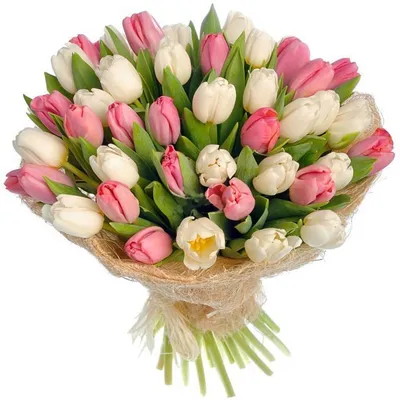 Букет тюльпанов с гвоздикой заказать с доставкой 24/7 по Москве и  Московской области.