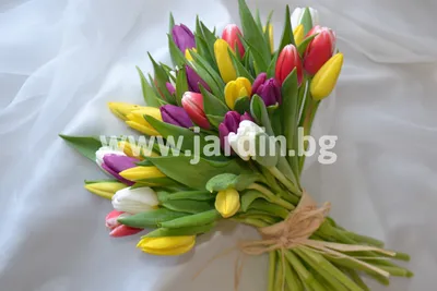 Красный букет тюльпанов полуоткрытых из латекса. Купить латексные цветы по  выгодной цене. Цветы из латекса Днепр