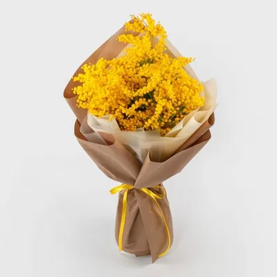 Купить большой букет мимозы с бесплатной доставкой по Москве | Butik-Flowers