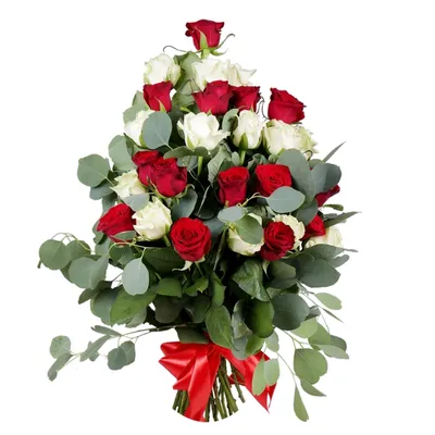 ⚰ Купить живые цветы на похороны. Букет на похороны в Умани. Лучшие цены в  городе | «Санта Роза»