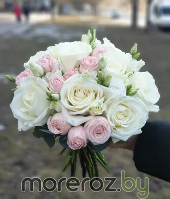 Купить букет невесты из белоснежных фрезий по доступной цене с доставкой в  Москве и области в интернет-магазине Город Букетов