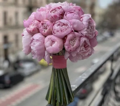 Букет невесты из 15 пионов за 18 490 руб. | Бесплатная доставка цветов по  Москве