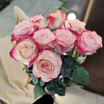 Букет из 31 нежно-розовой розы - заказать и купить цветы с доставкой |  Donpion