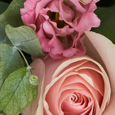 Букет из 7 нежно-розовых и 6 кустовых роз