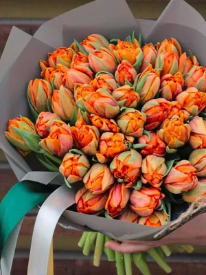 Букет тюльпанов и гиацинтов | доставка по Москве и области
