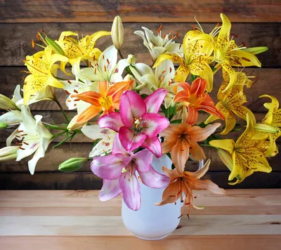 Купить букет лилий в Ростове-на-Дону с доставкой. | Плавающие цветы, Белые  лилии, Лилия букет