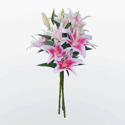 Купить Букет из 3 ароматных лилий на сайте магазина Цветочный Рай в  Новороссийске