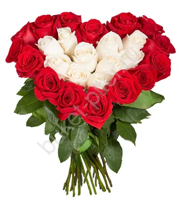 ᐉ Голландские розы в форме сердца — интернет-магазин ZakazBuketov
