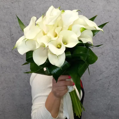 9 белых калл в букете за 8 390 руб. | Бесплатная доставка цветов по Москве