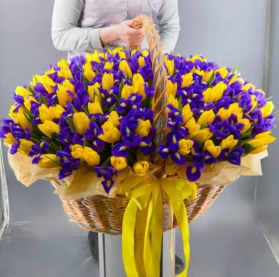 Синие ирисы с желтыми тюльпанами в коробке за 19 490 руб. | Бесплатная  доставка цветов по Москве