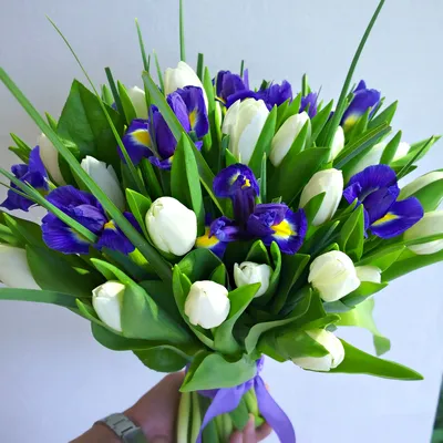 Букет из белых тюльпанов с ирисами купить по цене 2 500 руб. с бесплатной  доставкой по Москве: заказать на сайте flavoshop.com