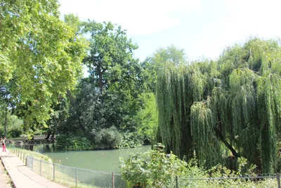 Булонский лес (Bois de Boulogne) в Париже