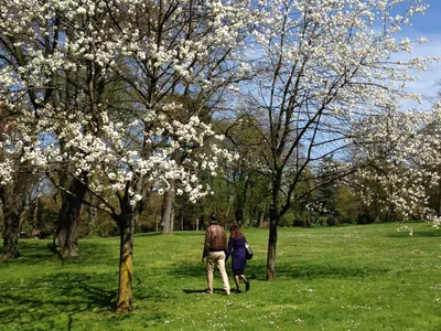 Булонский лес (Le bois de Boulogne) | Марьяна Арыштаева | Дзен