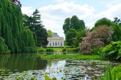 My wonderful Paris: Леса Парижа днем и ночью