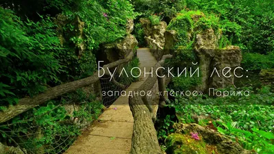 Фото «Посредине леса обустроен парк Багатель» из фотогалереи «Осенний Булонский  лес» Франция ,