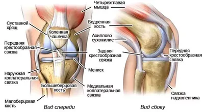 Энтезопатия - Первая Медицинская Клиника