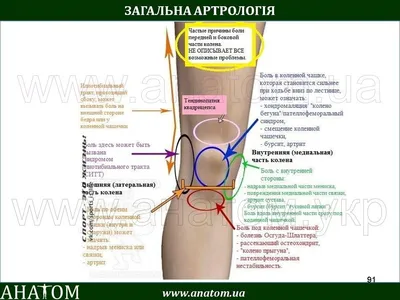 Боль в колене: причины, диагностика и лечение в Махачкале — Медицинский  центр «Целитель»