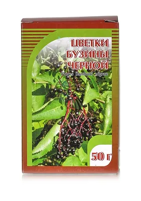 Саженец Бузина чёрная Вариегата в Москве ᐈ Купить, Цена – Интернет-магазин  Свой Питомник, Россия