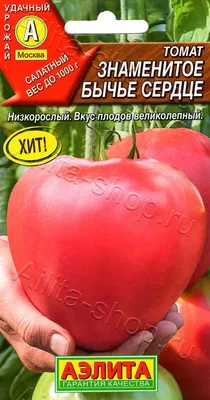 Семена Томат, Бычье сердце компакт, 20 шт, цветная упаковка, Аэлита в  Брянске: цены, фото, отзывы - купить в интернет-магазине Порядок.ру