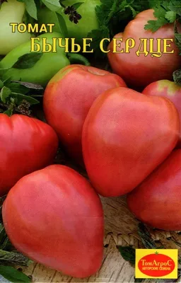 Семена томата Бычье сердце 0.3 г Октябрина Ганичкина - характеристики и  описание на Мегамаркет