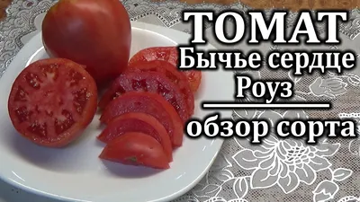 Семена Томата Бычье Сердце. Купить с Доставкой по РФ почтой и ТК