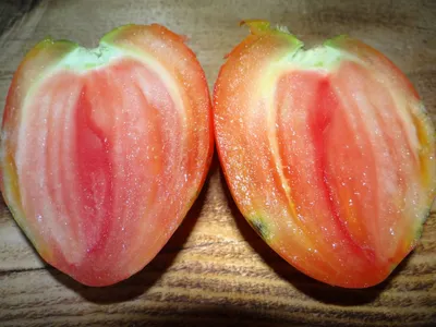 Сорт \"Бычье сердце\" томатов характеристика и описание сорта: описание сорта  с фото, характеристика, урожайность