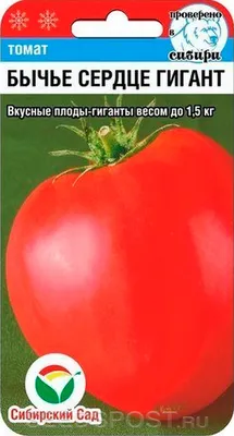 БЫЧЬЕ СЕРДЦЕ - известный сорт с прекрасным вкусом, купить в Добрые Семена.ру