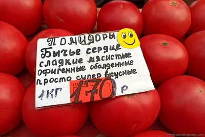 Помидоры Пурпурное Сердце Лилипута - Dwarf Purple Heart Tomato | Дом  Помидоров - Помидом