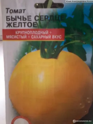 Семена томата Бычье сердце чёрное - Интернет-магазин жителей Эко-поселения  КОВЧЕГ