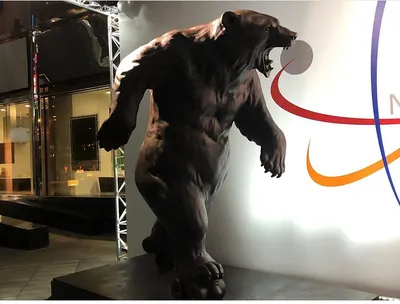 Набор статуэток \"бык и медведь\" 10см – купить в Украине | ТОП фигурки  животных и птиц на Vip Posuda