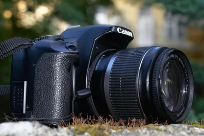 Примеры снимков на Canon EOS R6 Mark II | PHOTAR | Дзен
