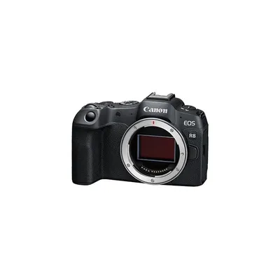 Обзор Canon EOS R6: одна из лучших камер в сегменте