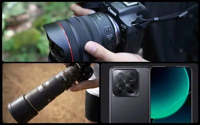 Canon EF 40mm F2.8 STM - «Прекрасный бюджетный объектив! +фото» | отзывы