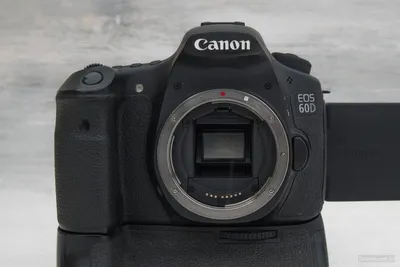 Canon EOS 600D пример фотографии 64393449