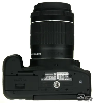 Какая-то птичка :: Объектив: Canon EF-S 55-250 mm f/ 4-5.6 IS II - тестовая  фотография :: Lens-Club.ru