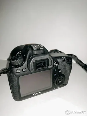 Отзыв о Цифровой зеркальный фотоаппарат Canon EOS 6D | Идеальная камера для  начинающего фотографа